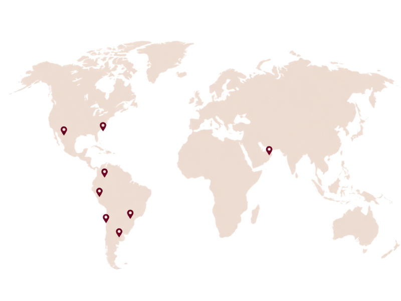 Mapa de presencia internacional Womenize LATAM